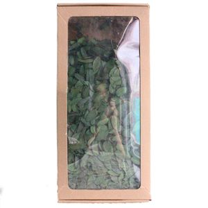 Vraies feuilles d'<span class=keywords><strong>eucalyptus</strong></span> séchées en vrac pour bougie d'aromathérapie bricolage décor à la maison coffret cadeau parfumé naturel - Product Image 5