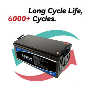 بطارية Lifepo4 مدمجة بجهد 24 فولت أمبير/ساعة 200A BMS 300 فولت بطارية ليثيوم أيون دورة مرات بطاريات طاقة شمسية منزلية - Product Image 2