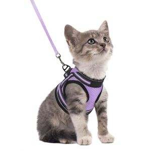 Ensemble laisse et harnais pour petits chiens et chats, rubans en nylon écologiques réfléchissants lumineux, décoration anti-casse, design respirant - Product Image 1