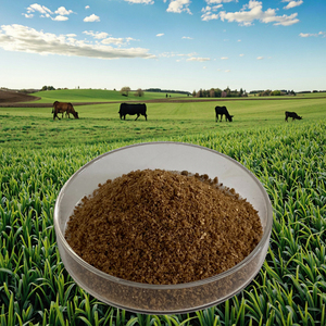 Bổ sung thức ăn protein cao cho bò sữa và Cừu-vitamin, khoáng chất, men vi sinh | cải thiện năng suất Sữa và tốc độ tăng trưởng - Product Image 4