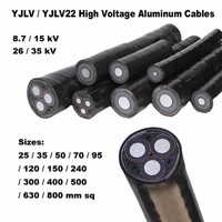 Câble Souterrain Basse Tension NFC 32-321, Section 3*240+95 mm², Aluminium Isolé PVC, Câbles Électriques 1 KV, Chine, 50-630 mm