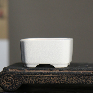 Pot à bonsaï en céramique carré blanc avec glaçure craquelée, style antique, petit pot de fleurs, design japonais et chinois - Product Image 1