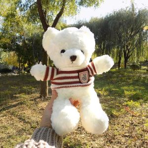 Ours en peluche personnalisé, ours classique mignon avec pull, décoration de canapé-lit, cadeau d'anniversaire de Noël, OEM ODM - Product Image 1