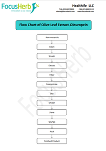 Healthife Pflanzen extrakt Nahrungs ergänzungs mittel Oleuropein Pulver Oliven blattex trakt - Product Image 3