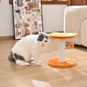 Mini poste rascador <span class=keywords><strong>para</strong></span> gatos con cuerda de algodón, árbol <span class=keywords><strong>para</strong></span> gatos de peluche al por mayor - Product Image 5