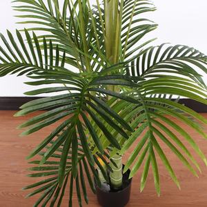 Plante Artificielle <span class=keywords><strong>Palmier</strong></span> Faux Planté Avec Des Pots <span class=keywords><strong>Mini</strong></span> Feuilles De <span class=keywords><strong>Palmier</strong></span> <span class=keywords><strong>En</strong></span> Soie Pour La Décoration Intérieure Bonsaï Arbre Prix Usine - Product Image 6