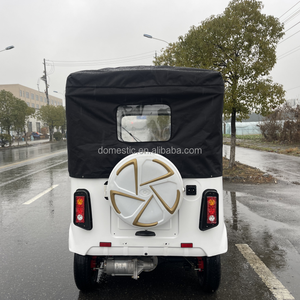 Nuovo Arrivo Triciclo Passeggeri a 6 Posti Taxi Tuk Tuk Bajaj Triciclo per Adulti a 3 Ruote Elettrico <span class=keywords><strong>Rickshaw</strong></span> - Product Image 3