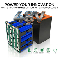 Batteries liquides personnalisées Delong 48V Série 15Ah-80Ah Rechargeables LFP4850 4000 Cycles OEM