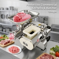 Hachoir à viande électrique professionnel en acier inoxydable, modèle 22, pour la fabrication de saucisses