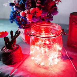 Rood 2M 6.6FT 20 Led Batterij CR2032 Fairy Dauwdruppel Starry String Lights Kerst Bruiloft Decoratie