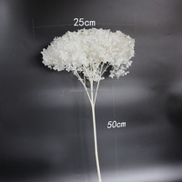 Boule de fleurs d'hortensia naturelles préservées Anna, couleur blanche populaire, pour décoration de mariage, fournitures de fête, centre de table floral