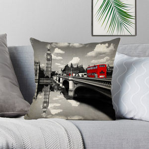 Fundas de cojín decorativas vintage, funda de cojín rosa con flores de Londres y París para sofá, hogar, coche personalizado - Product Image 3