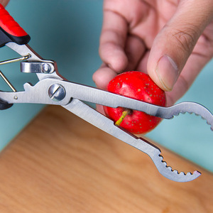 Pince à noyaux d'aubépine en acier inoxydable, outil de cuisine pour retirer les noyaux des fruits d'aubépine - Product Image 3