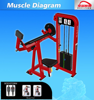 Équipement de gymnastique commerciale, machine à friser les biceps, triceps, biceps, Machine à friser les Biceps latéraux iso