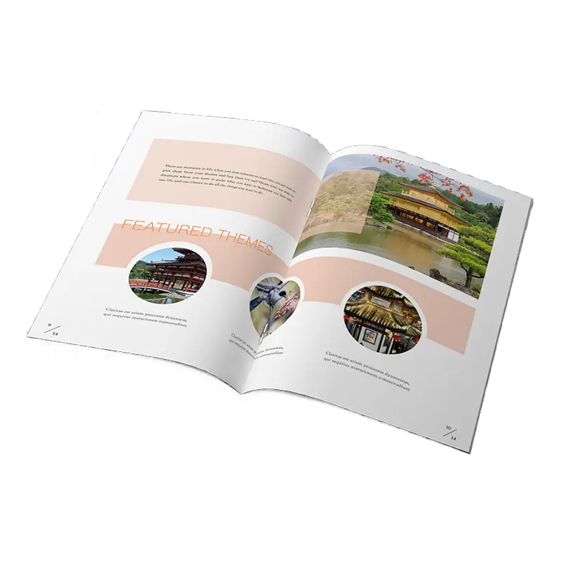 Phổ biến nhất in ấn cuốn Sách bìa mềm Brochure Danh Mục dịch vụ in ấn