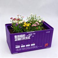 Boîte en étain personnalisée, rectangulaire, imprimée, pour l'emballage de graines d'herbes, de plantes, de fleurs et de légumes, alimentaire