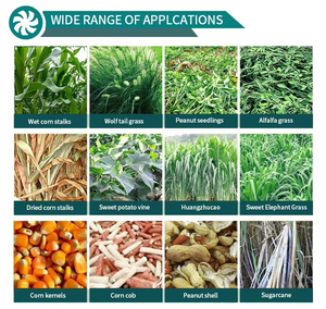 Hache-paille Wellgain à deux têtes, manuel, pour l'agriculture, avec pièces de rechange pour la production de foin, mini-machine, prix compétitif, pour le Pakistan, le Népal et la Tanzanie - Product Image 4