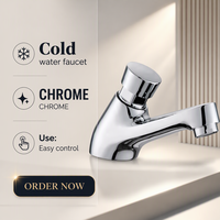 Robinet de lavabo à bouton-poussoir en laiton chromé, à fermeture automatique, eau froide uniquement, temporisé, à poser sur le plan pour salle de bain