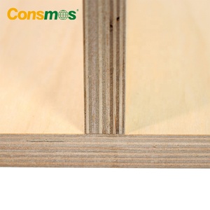 Venta al por mayor 3mm 12MM 18mm fenólico 100% tablero <span class=keywords><strong>de</strong></span> madera contrachapada <span class=keywords><strong>de</strong></span> abedul blanco completo - Product Image 6