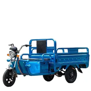 Barang bawaan berat kendaraan roda 3 kendaraan truk sepeda motor kargo elektrik sepeda roda tiga
