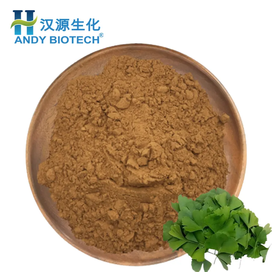 Ginkgol Biloba chiết xuất bột/folium Ginkgo chiết xuất/Gingko Biloba lá chiết xuất