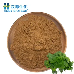 Ginkgol Biloba Extract Powder/Folium Ginkgo Extract/Gingko Biloba Leaf Extract