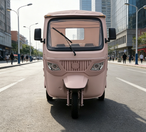 EEC COC Tows E <strong>Trike</strong> Passenger EEC Electric Passenger Tricycle Sightseeing Vehicle - Product Image 1