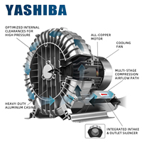 مروحة دوامية بمحرك نحاسي نقي معتمدة من CE وRoHS طراز Yashiba HG-750/HG410-75AD4 بقوة 0.75 كيلو واط و220 فولت، مضخة أكسجين وتفريغ عالية الضغط OEM