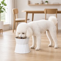 Bol pour chat en acier inoxydable en gros, ergonomique, surélevé, anti-vomissement, pour chaton