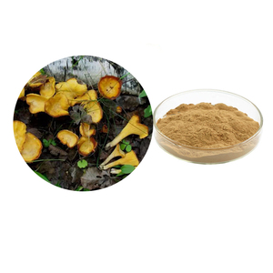 Extracto de Hongo <span class=keywords><strong>Cantharellus</strong></span> Cibarius en Polvo, Polisacárido 30%-50%, Extracción por Solvente UV, Envasado al Vacío en Tambor - Product Image 1