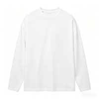 Custom T-shirt Heren 100% Katoen T-shirt Luxe Kwaliteit Rib O-hals Lange Mouw Zwaargewicht Streetwear 100% Katoenen T-shirt voor Heren