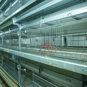 Suibian — <span class=keywords><strong>cage</strong></span> de volaille à raboteuse Semi-automatique, équipement pour élevage de volaille, vente de volaille, 5000 / 10000 - Product Image 3