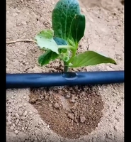Kit d'irrigation goutte à goutte DIY 16 mm avec filtre anti-UV et injecteur d'engrais Venturi pour l'agriculture