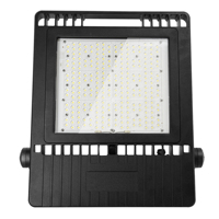 Projecteur LED professionnel pour stades, étanche IP66, en aluminium, 200W 240W 150W AC100-277V, haute luminosité pour usage extérieur