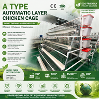 Système de cage à poules pondeuses en grillage métallique pour ferme avicole professionnelle – Machine automatique de cages en batterie pour poules pondeuses