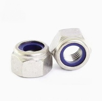 Pemrosesan Khusus Didukung DIN982 Mur Pengunci Heksagonal Baja Tahan Karat Biru Putih Seng Mur Pengunci Heksagonal Nylon Self-Locking