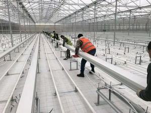 Sistema di Vendita Calda Multi-Span Serra/Serra per Le Verdure/Serra Agricola - Product Image 4