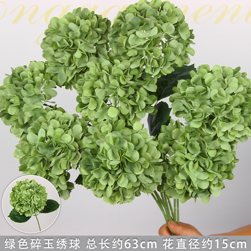 Hortensia vert avec feuillage