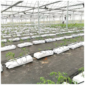 Bolsa de Cultivo de PE para Plántulas, Bolsa de Cultivo en Tiras, Bolsa de Cultivo para Frutas y Verduras, Bolsa de Cultivo para Invernadero - Product Image 6