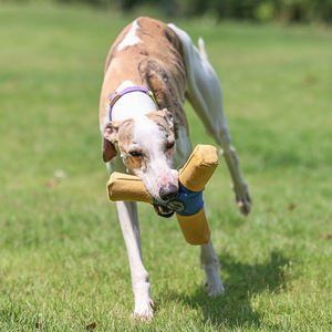 Toptan hafif tuval köpek oyuncak dayanıklı güçlü çiğneme açık oyun oyuncak köpek çiğnemek interaktif köpek oyuncak - Product Image 2