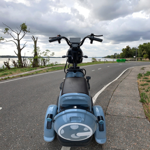 Phong Cách Mới Chất Lượng Cao Và Thoải Mái Trike Điện Ba Bánh Xe Kéo Điện Cho Người Lớn Trong <span class=keywords><strong>2025</strong></span> - Product Image 4