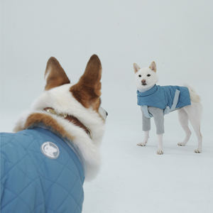 Abrigo de Invierno para Mascotas Dafeel, Impermeable, Reflectante, de Algodón Grueso, Ropa para Perros Corgi, Estilo Clásico Sólido, Artículos para Mascotas - Product Image 5