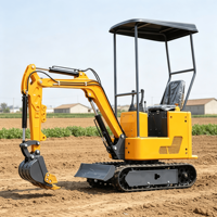Mini-excavatrice hydraulique sur chenilles pour usage domestique, prix d'usine, petite pelle avec certification EPA / Euro 5