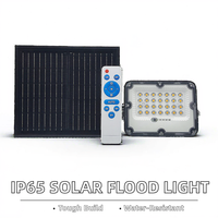 ABS 30W Mini Led Foco Proyector Solar 90 Grado de iluminación IP65 Luz de inundación solar impermeable con carcasa de ABS