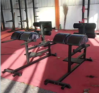 Support croisé professionnel, extension à l'arrière, pour entraînement physique, Cardio, avec fauteuil romain, 1 pièce, offre spéciale, 2022