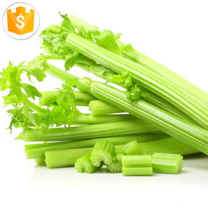 Apio Celeri Sedano Sellerie Zeller Nhà Cung Cấp Nhà Máy OEM Khô Gia Vị Khô Khô Cần Tây Lá Khô Cần Tây Mảnh - Product Image 6
