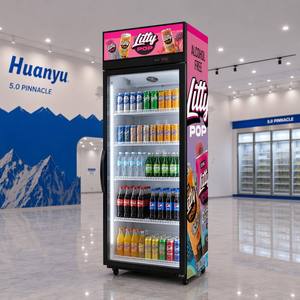 Équipement de réfrigération commercial de haute qualité avec porte vitrée : refroidisseur de boissons, congélateur à glaces et congélateur vitrine profond - Product Image 2