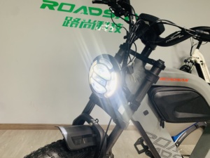 2024 Roadsan V20 <strong>Ebike</strong> for Adults 24inch Fat Tyre 48V 15AH/20AH Lithium Battery Dual Disc Brake System - Product Image 2