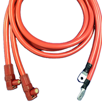 Terminal Khusus Baterai Lithium OEM, Kabel Penyimpanan Energi, Konduktivitas Tinggi untuk Kit DIY Sistem Energi Surya