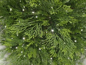 Prix direct usine – Sapin de Noël pré-éclairé en PE de haute qualité (1,8 m, 2,1 m, 2,3 m, 3 m) – Idéal pour la décoration de la maison et des fêtes - Product Image 5